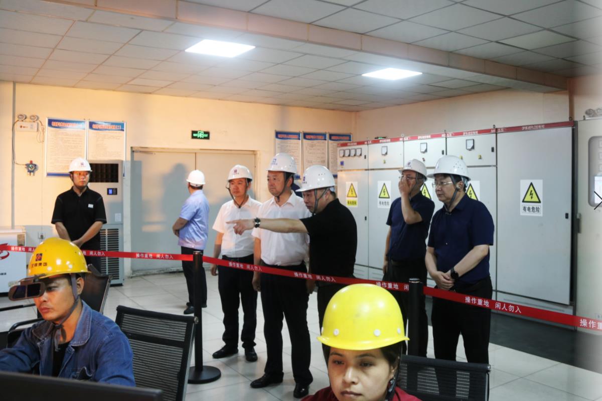 081625704805215515.jpeg 11.jpg